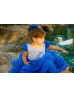 Royal Blue Pearl Rhinestone V Back Luxury Flower Girl Dress